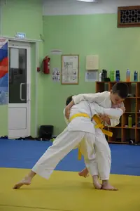 Первенство посвященное Дню Победы  по упрощенным правилам борьбы Дзюдо и Самбо 2016 г.р.