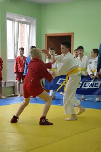Первенство посвященное Дню Победы  по упрощенным правилам борьбы Дзюдо и Самбо 2016 г.р.