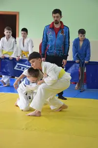 Первенство посвященное Дню Победы  по упрощенным правилам борьбы Дзюдо и Самбо 2016 г.р.