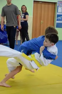 Первенство посвященное Дню Победы  по упрощенным правилам борьбы Дзюдо и Самбо 2016 г.р.
