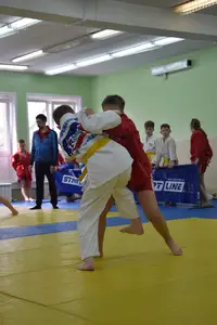 Первенство посвященное Дню Победы  по упрощенным правилам борьбы Дзюдо и Самбо 2016 г.р.