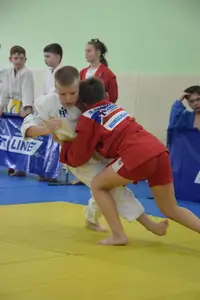 Первенство посвященное Дню Победы  по упрощенным правилам борьбы Дзюдо и Самбо 2016 г.р.