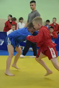 Первенство посвященное Дню Победы  по упрощенным правилам борьбы Дзюдо и Самбо 2016 г.р.