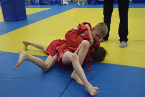 Первенство посвященное Дню Победы  по упрощенным правилам борьбы Дзюдо и Самбо 2016 г.р.