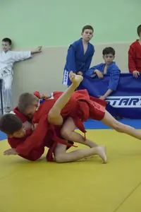 Первенство посвященное Дню Победы  по упрощенным правилам борьбы Дзюдо и Самбо 2016 г.р.