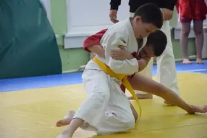 Первенство посвященное Дню Победы  по упрощенным правилам борьбы Дзюдо и Самбо 2016 г.р.