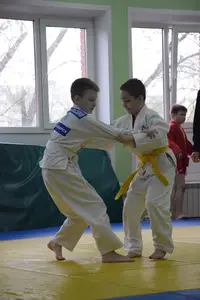 Первенство посвященное Дню Победы  по упрощенным правилам борьбы Дзюдо и Самбо 2016 г.р.