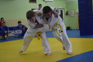 Первенство посвященное Дню Победы  по упрощенным правилам борьбы Дзюдо и Самбо 2016 г.р.