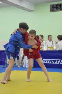 Первенство посвященное Дню Победы  по упрощенным правилам борьбы Дзюдо и Самбо 2016 г.р.