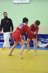 Первенство посвященное Дню Победы  по упрощенным правилам борьбы Дзюдо и Самбо 2016 г.р.