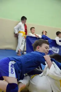 Первенство посвященное Дню Победы  по упрощенным правилам борьбы Дзюдо и Самбо 2016 г.р.