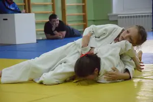 Первенство посвященное Дню Победы  по упрощенным правилам борьбы Дзюдо и Самбо 2016 г.р.