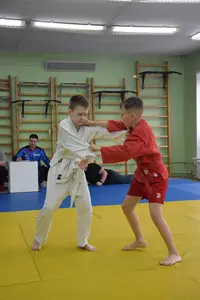 Первенство посвященное Дню Победы  по упрощенным правилам борьбы Дзюдо и Самбо 2016 г.р.