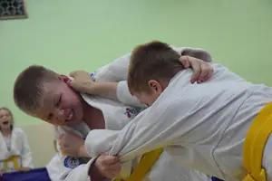 Первенство посвященное Дню Победы  по упрощенным правилам борьбы Дзюдо и Самбо 2016 г.р.