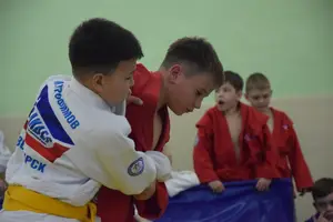 Первенство посвященное Дню Победы  по упрощенным правилам борьбы Дзюдо и Самбо 2016 г.р.