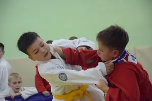 Первенство посвященное Дню Победы  по упрощенным правилам борьбы Дзюдо и Самбо 2016 г.р.