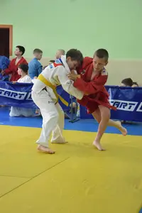 Первенство посвященное Дню Победы  по упрощенным правилам борьбы Дзюдо и Самбо 2016 г.р.
