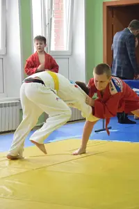 Первенство посвященное Дню Победы  по упрощенным правилам борьбы Дзюдо и Самбо 2016 г.р.