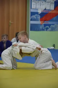 Первенство посвященное Дню Победы «СУМО + партер» 2017 г.р.