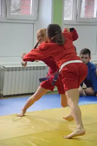 Первенство посвященное Дню Победы «СУМО + партер» 2017 г.р.