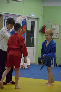 Первенство посвященное Дню Победы «СУМО + партер» 2017 г.р.