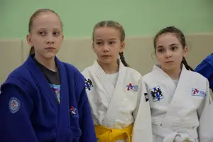 Первенство посвященное Дню Победы  по упрощенным правилам борьбы Дзюдо и Самбо 2015 г.р.