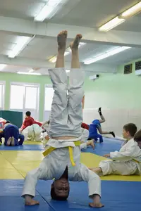 Первенство посвященное Дню Победы  по упрощенным правилам борьбы Дзюдо и Самбо 2015 г.р.