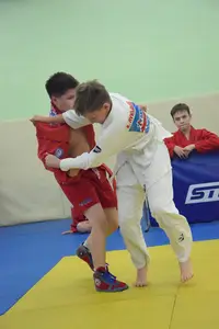 Первенство посвященное Дню Победы  по упрощенным правилам борьбы Дзюдо и Самбо 2015 г.р.