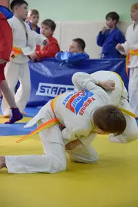 Первенство посвященное Дню Победы  по упрощенным правилам борьбы Дзюдо и Самбо 2015 г.р.