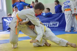 Первенство посвященное Дню Победы  по упрощенным правилам борьбы Дзюдо и Самбо 2015 г.р.