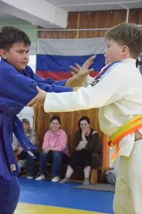 Первенство посвященное Дню Победы  по упрощенным правилам борьбы Дзюдо и Самбо 2015 г.р.
