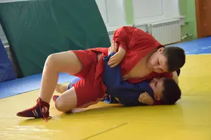 Первенство посвященное Дню Победы  по упрощенным правилам борьбы Дзюдо и Самбо 2015 г.р.