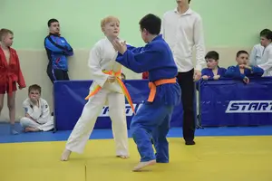 Первенство посвященное Дню Победы  по упрощенным правилам борьбы Дзюдо и Самбо 2015 г.р.