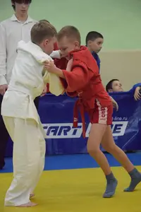 Первенство посвященное Дню Победы  по упрощенным правилам борьбы Дзюдо и Самбо 2015 г.р.