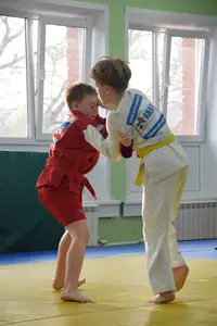 Первенство посвященное Дню Победы  по упрощенным правилам борьбы Дзюдо и Самбо 2015 г.р.