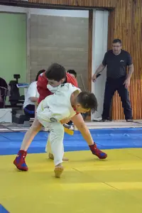 Первенство посвященное Дню Победы  по упрощенным правилам борьбы Дзюдо и Самбо 2015 г.р.