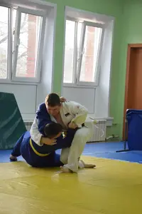 Первенство посвященное Дню Победы  по упрощенным правилам борьбы Дзюдо и Самбо 2015 г.р.
