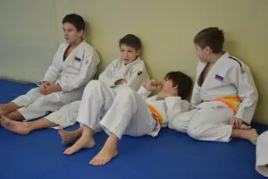 Первенство "Упрощенное дзюдо и самбо» 2014 г.р.