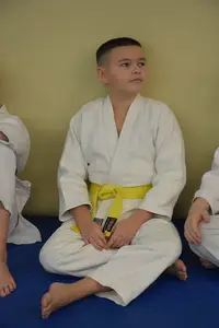 Первенство "Упрощенное дзюдо и самбо» 2014 г.р.