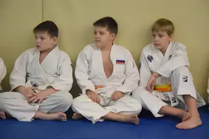 Первенство "Упрощенное дзюдо и самбо» 2014 г.р.