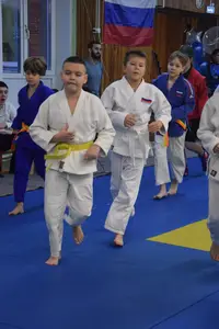 Первенство "Упрощенное дзюдо и самбо» 2014 г.р.