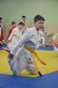 Первенство "Упрощенное дзюдо и самбо» 2014 г.р.