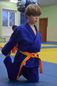 Первенство "Упрощенное дзюдо и самбо» 2014 г.р.