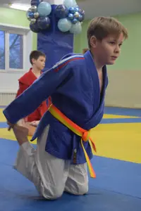 Первенство "Упрощенное дзюдо и самбо» 2014 г.р.