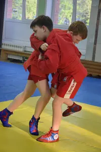 Первенство посвященное Дню Победы  по упрощенным правилам борьбы Дзюдо и Самбо 2015 г.р.