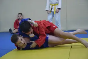 Первенство "Упрощенное дзюдо и самбо» 2014 г.р.