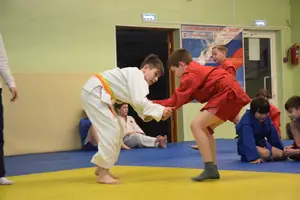 Первенство "Упрощенное дзюдо и самбо» 2014 г.р.