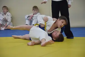 Первенство "Упрощенное дзюдо и самбо» 2014 г.р.