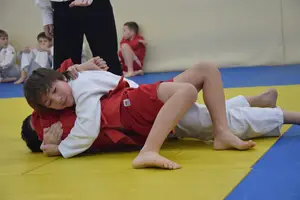 Первенство "Упрощенное дзюдо и самбо» 2014 г.р.