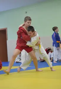 Первенство "Упрощенное дзюдо и самбо» 2014 г.р.